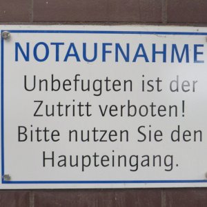 IMG_4936.JPG