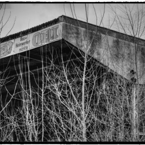 IMG_0262_Enhancer.jpg