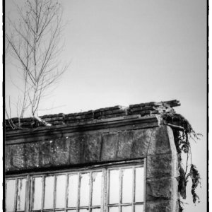 IMG_0196_Enhancer.jpg