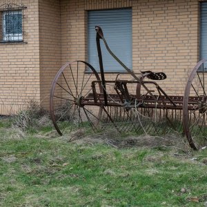 DSC_5322b.jpg