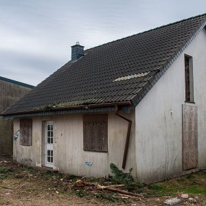 DSC_5329b.jpg