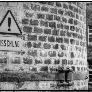 IMG_0334_Enhancer.jpg