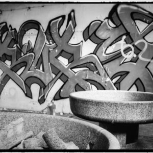 IMG_0375_Enhancer.jpg