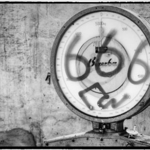 IMG_0405_Enhancer.jpg