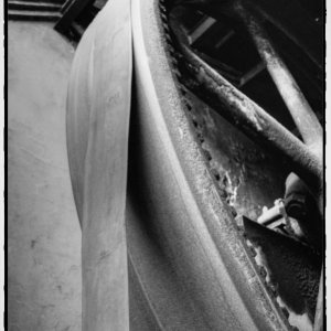 IMG_0406_Enhancer.jpg