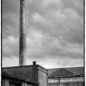 IMG_0399_Enhancer.jpg