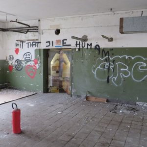 IMG_5877.JPG