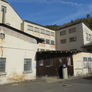 IMG_5646.JPG