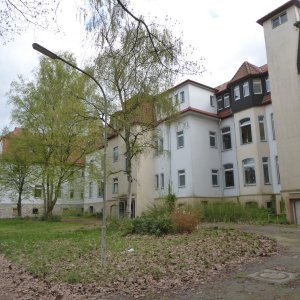 P1060160.JPG