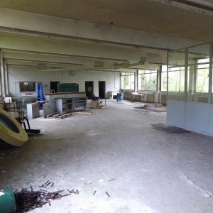 P1060143.JPG