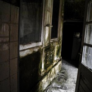 DSCN4712.JPG