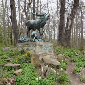 IMG_1263.JPG