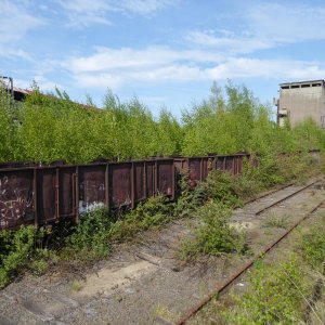 P1060433.JPG