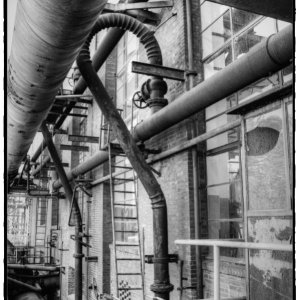 IMG_0151_Enhancer.jpg