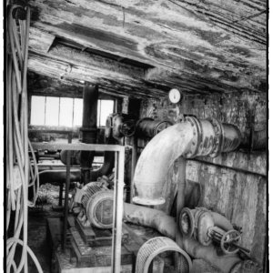 IMG_0162_Enhancer.jpg