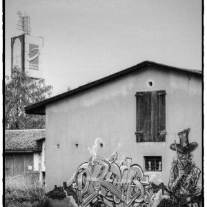 IMG_0502_Enhancer.jpg