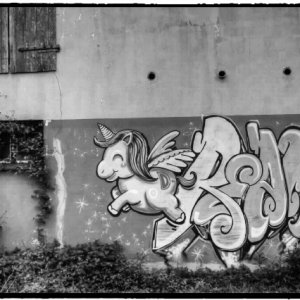 IMG_0532_Enhancer.jpg