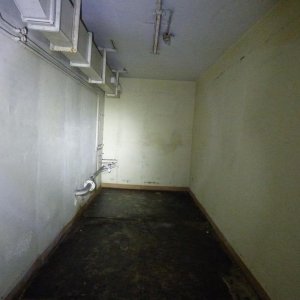 P1170023.JPG