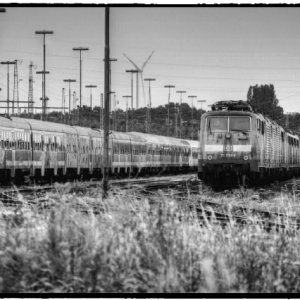 IMG_1729_Enhancer.jpg
