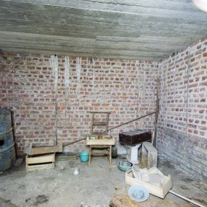 DSC07942.jpg