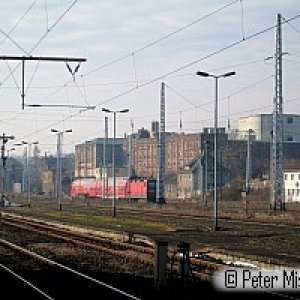 Malz_20090206_0350.jpg