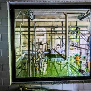 20170617_180126-HDR-.jpg