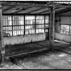 IMG_0354_Enhancer.jpg