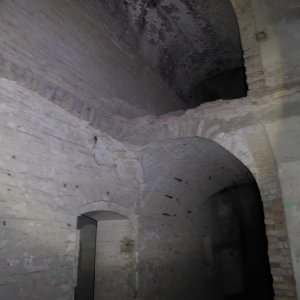 P1070540.JPG