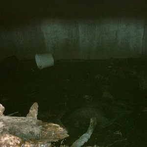 Bunker Hstr005.JPG