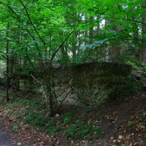 Schachtanlage im Wald1 (Small).JPG