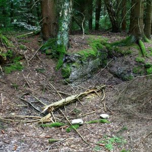 Schachtanlage im Wald19 (Small).JPG