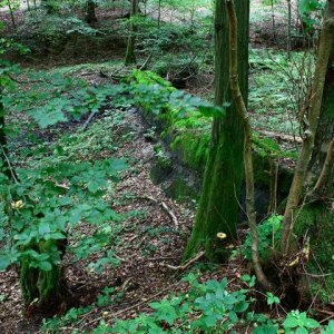 Schachtanlage im Wald26 (Small).JPG