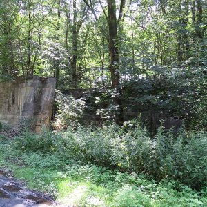 Mauerreste im Wald 1.jpg