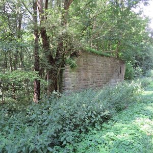 Mauerreste im Wald 3.jpg