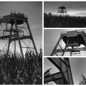 Collage_Fotor SW.jpg
