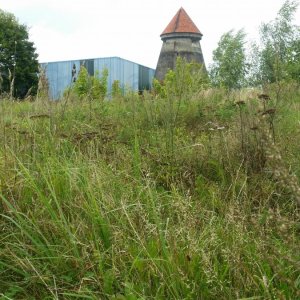 20170912_111618.jpg