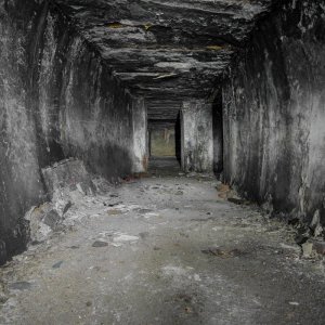 IMG_9364.jpg