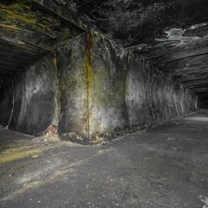 IMG_9378.jpg