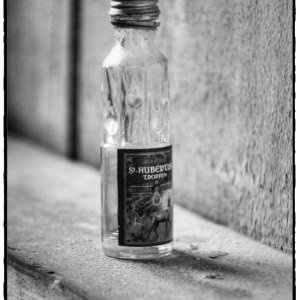 IMG_0951_Enhancer.jpg