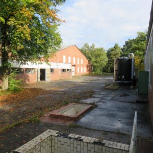 IMG_7753.JPG
