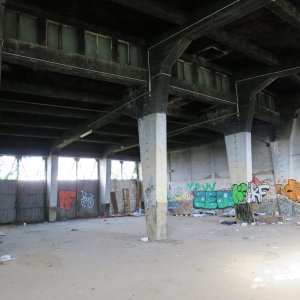 IMG_7996.JPG