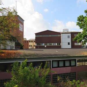 IMG_7913.JPG