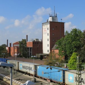 IMG_7909.JPG