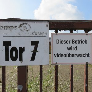 IMG_7914.JPG
