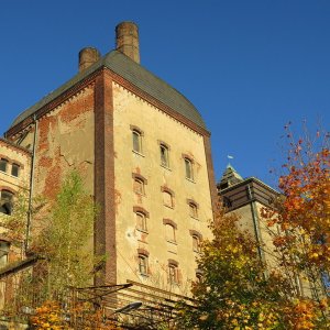 IMG_8782.JPG