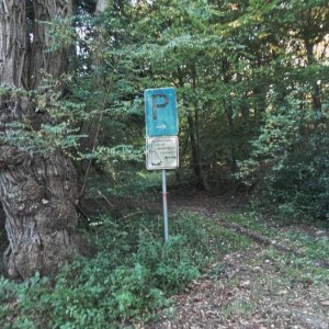 DSCN6732.JPG