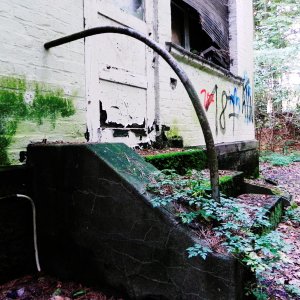 DSCN6746.JPG