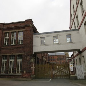 IMG_8205.JPG
