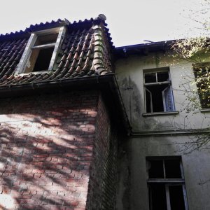 DSCN7294.JPG