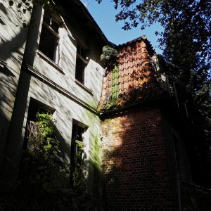 DSCN7299.JPG